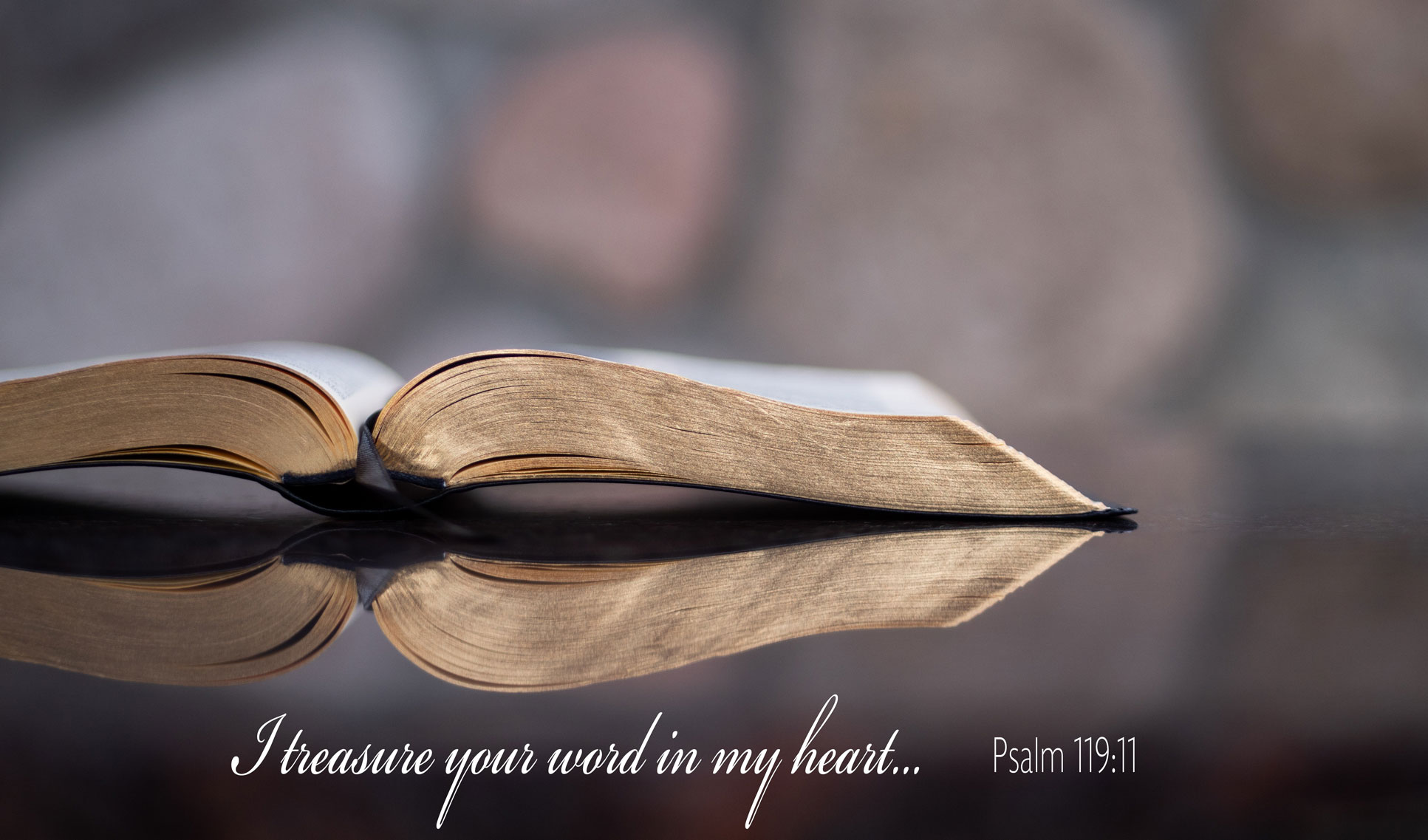 ‘Lost Treasures of the Bible’ & Other Inspiring Discoveries  LifeVerse